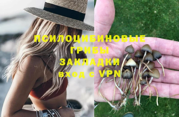 ALPHA-PVP Покачи