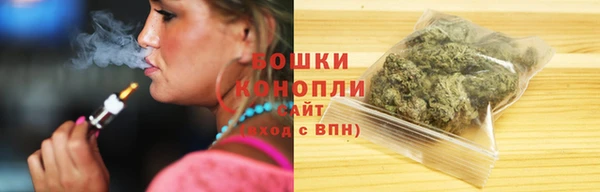 соль ск Болотное