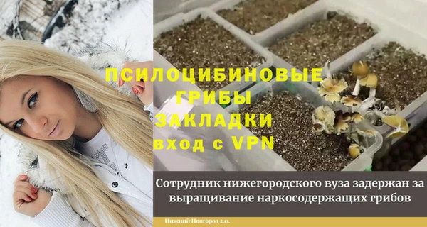 2c-b Протвино