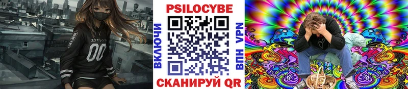 Псилоцибиновые грибы Psilocybe  Купить  Ковдор 