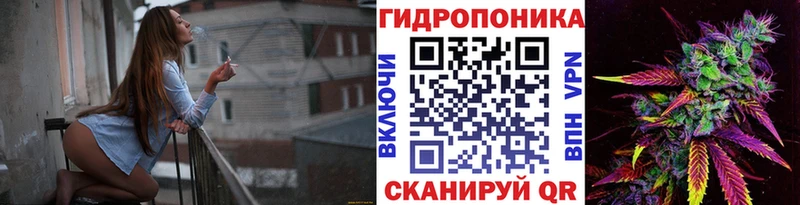 Конопля планчик  Купить закладки  Ковдор 